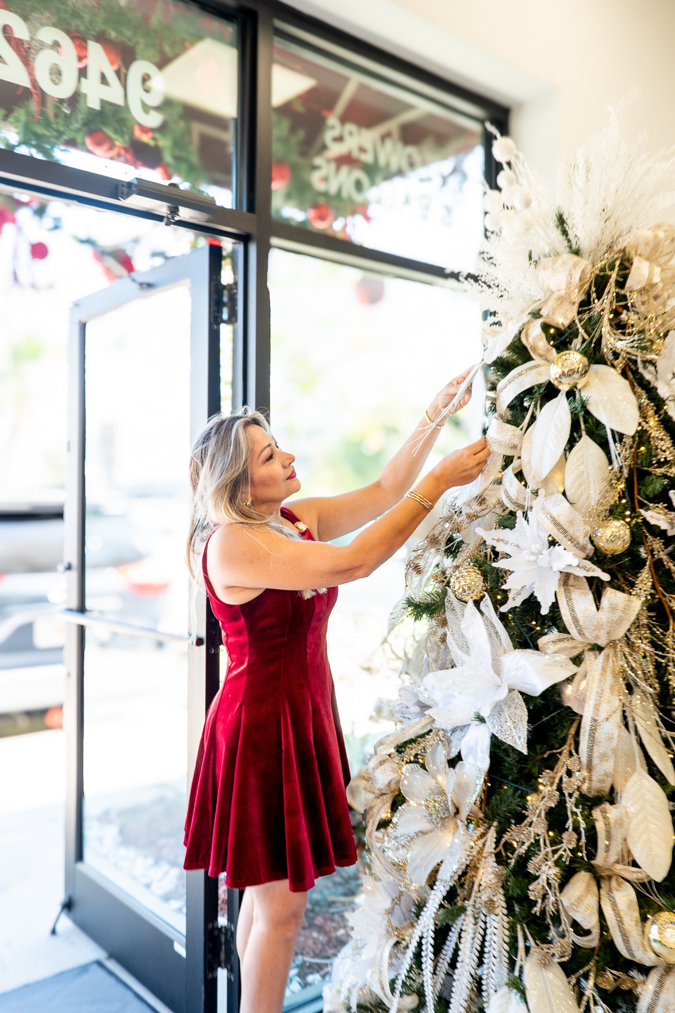 Velvet burgundy dream