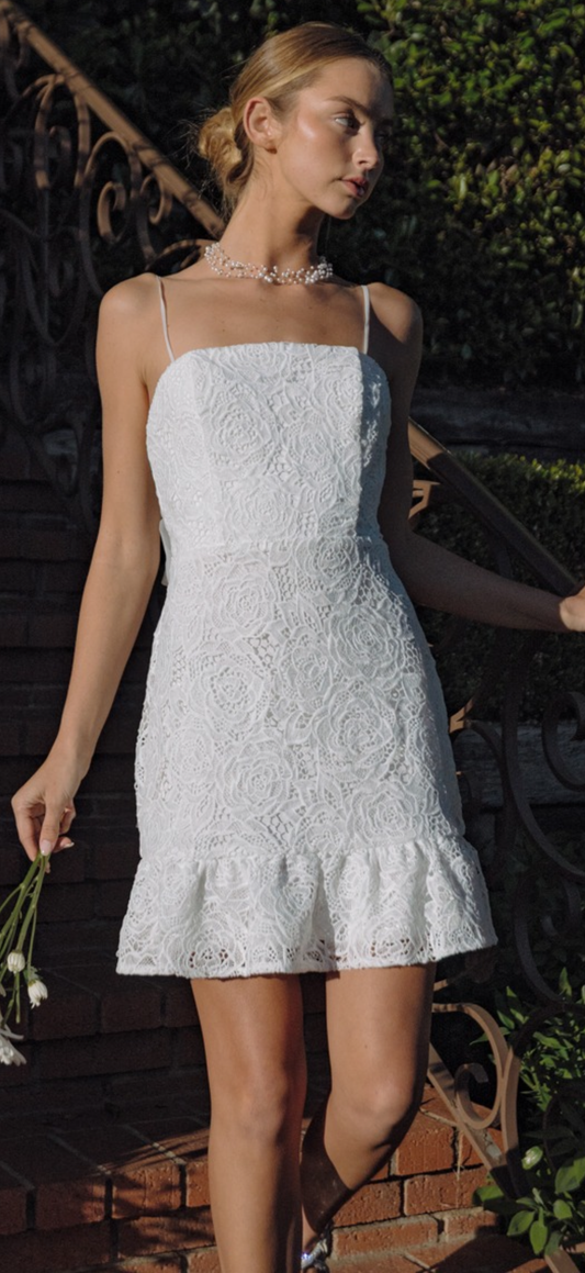 Heavenly Lace Mini Dress